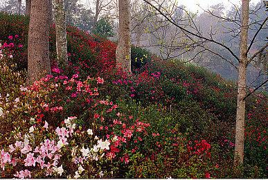 R星16年资深编剧现已离开了工作室